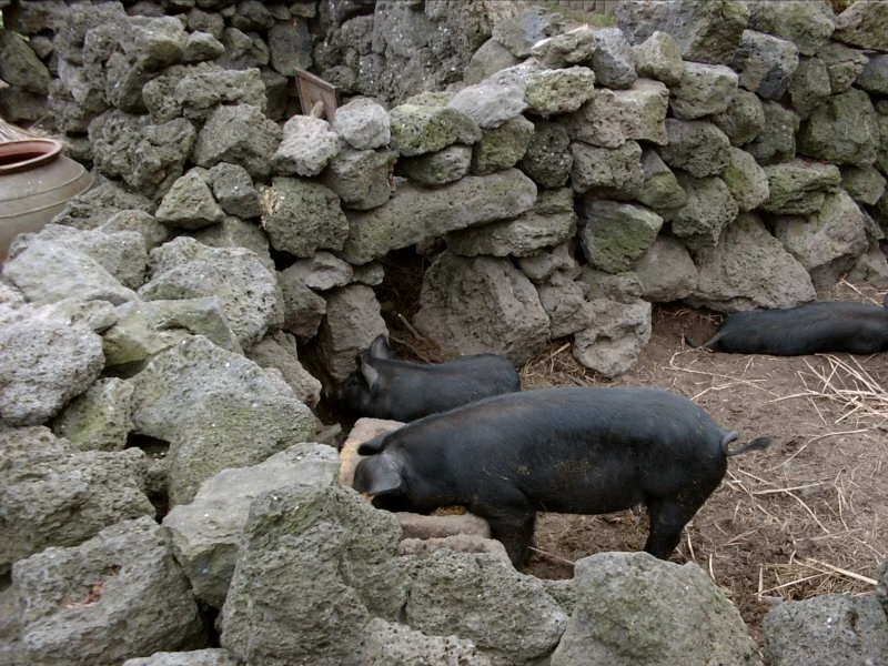 다운로드 (7).jfif