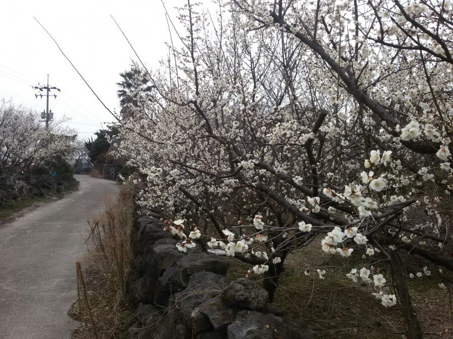 20180222_122039.jpg?type=w1200