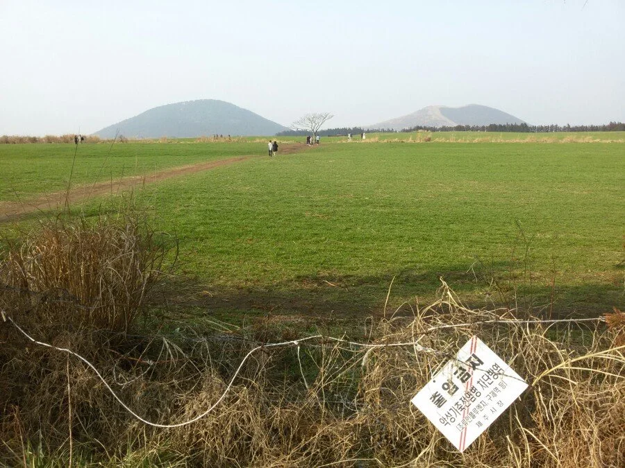 20180311_164059.jpg?type=w1200