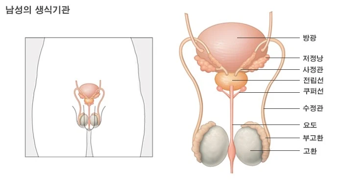 134562_0.gif?type=ori_1&wm=N