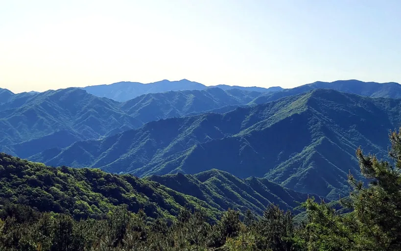 다운로드 (1).jfif