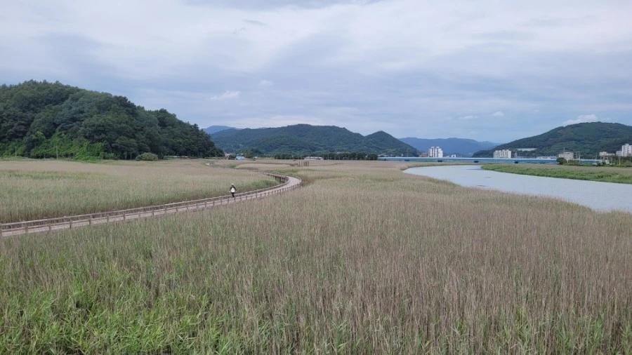 다운로드 (5).jfif