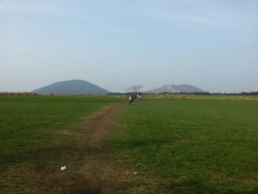 20180311_163937.jpg?type=w1200