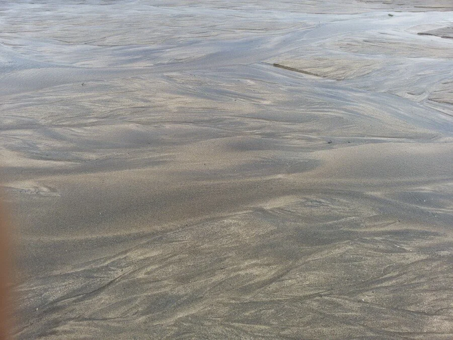 20180528_165441.jpg?type=w1200