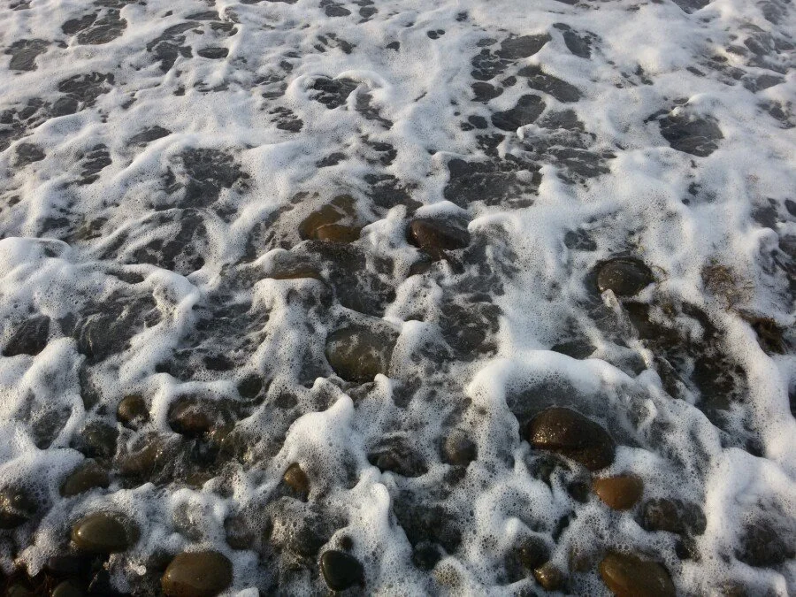 20180216_172201.jpg?type=w1200