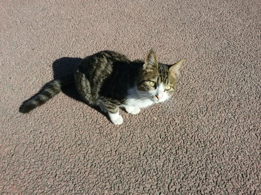 20180217_125051.jpg?type=w1200