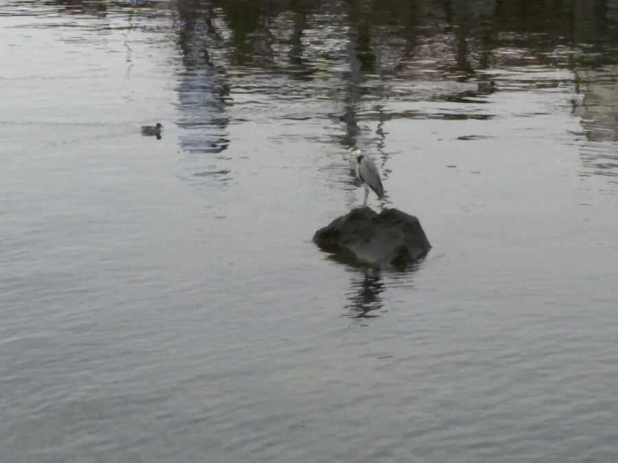 20180218_145235.jpg?type=w1200