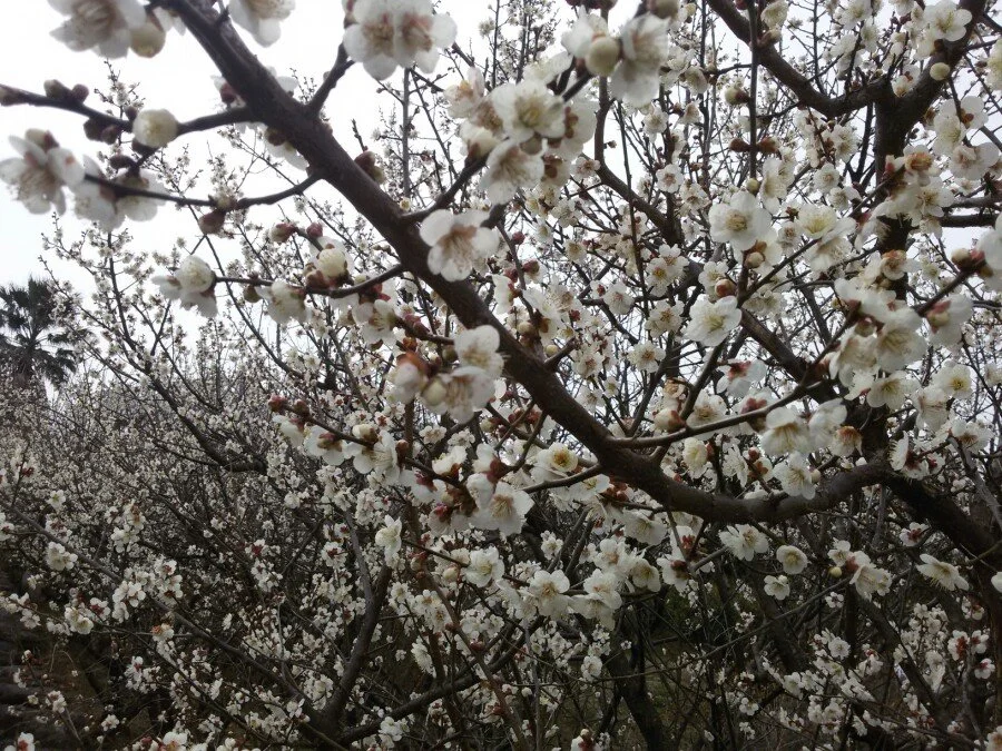 20180222_122010.jpg?type=w1200