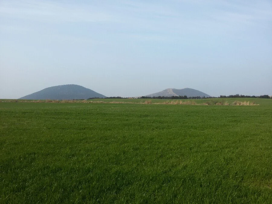 20180311_163020.jpg?type=w1200