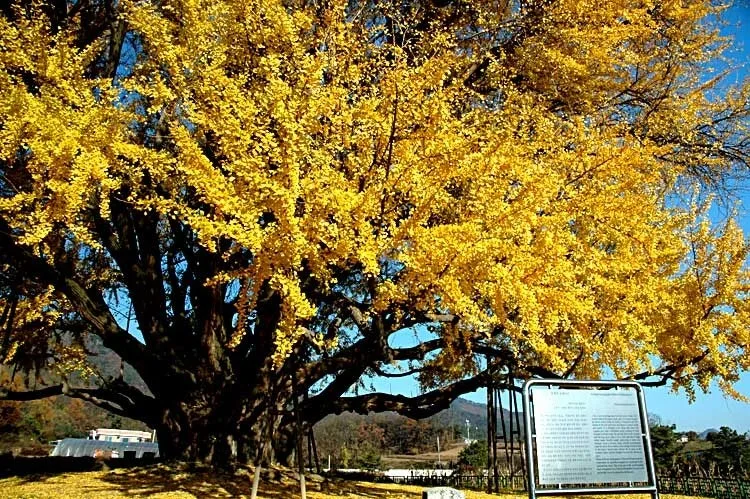 다운로드 (6).jfif