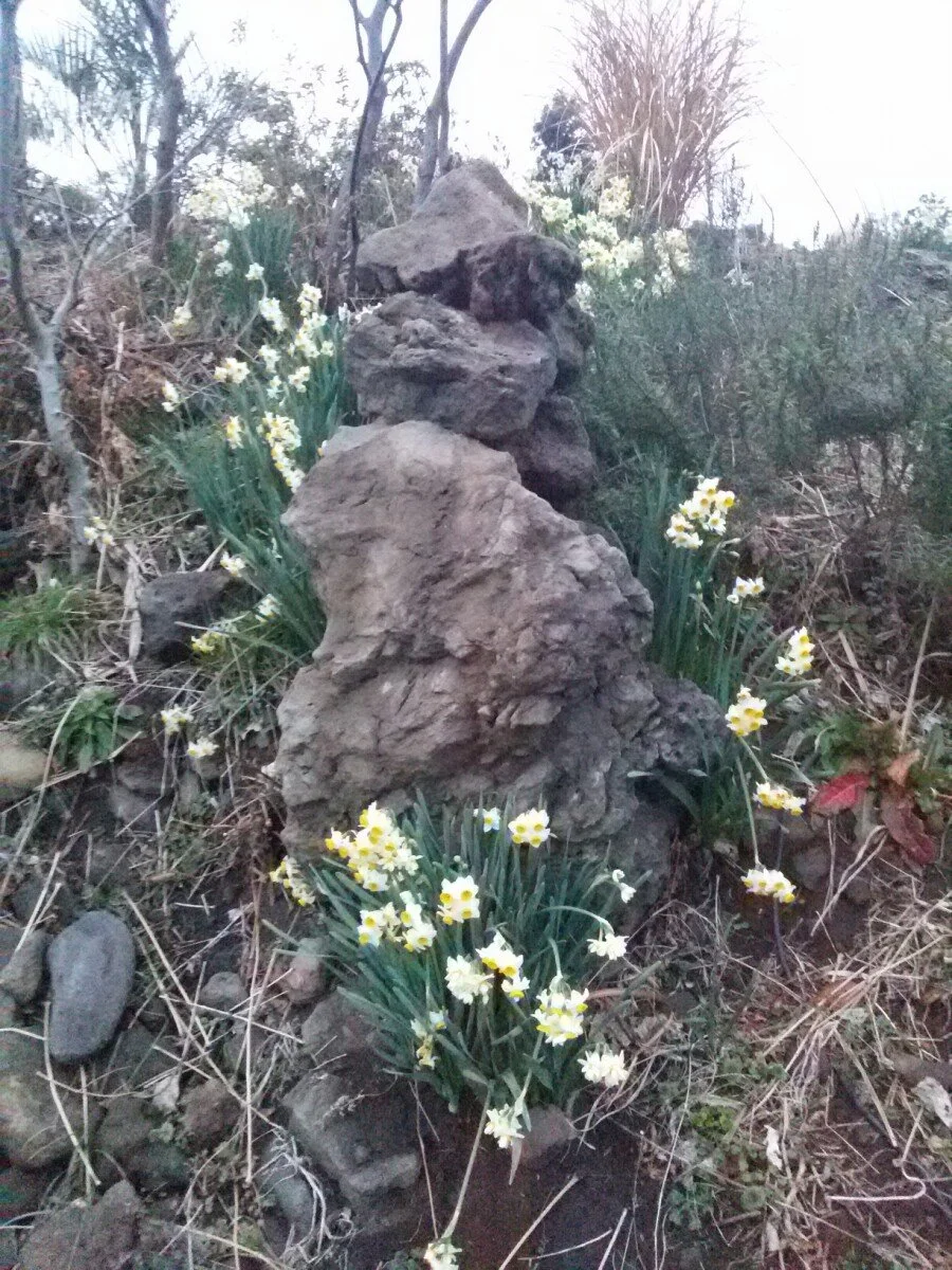 20180219_182506.jpg?type=w1200