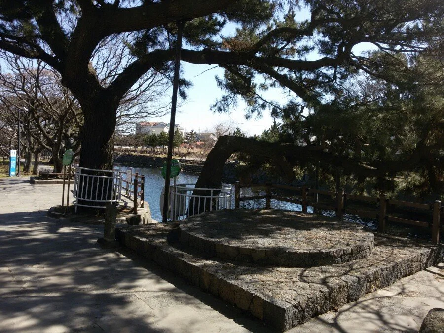 20180217_120821.jpg?type=w1200