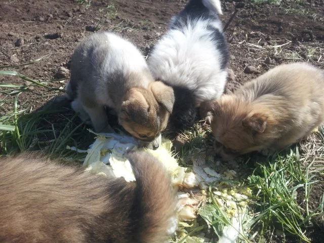 000-7.jpg?type=w1200