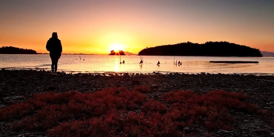 다운로드 (4).jfif