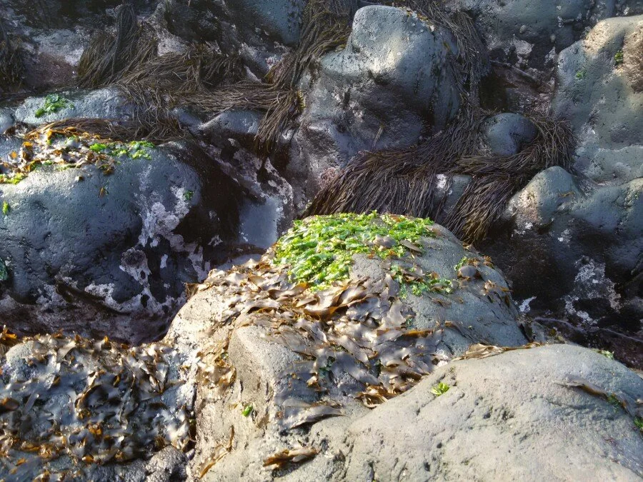 20180216_172958.jpg?type=w1200