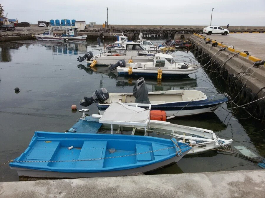 20180218_153806.jpg?type=w1200