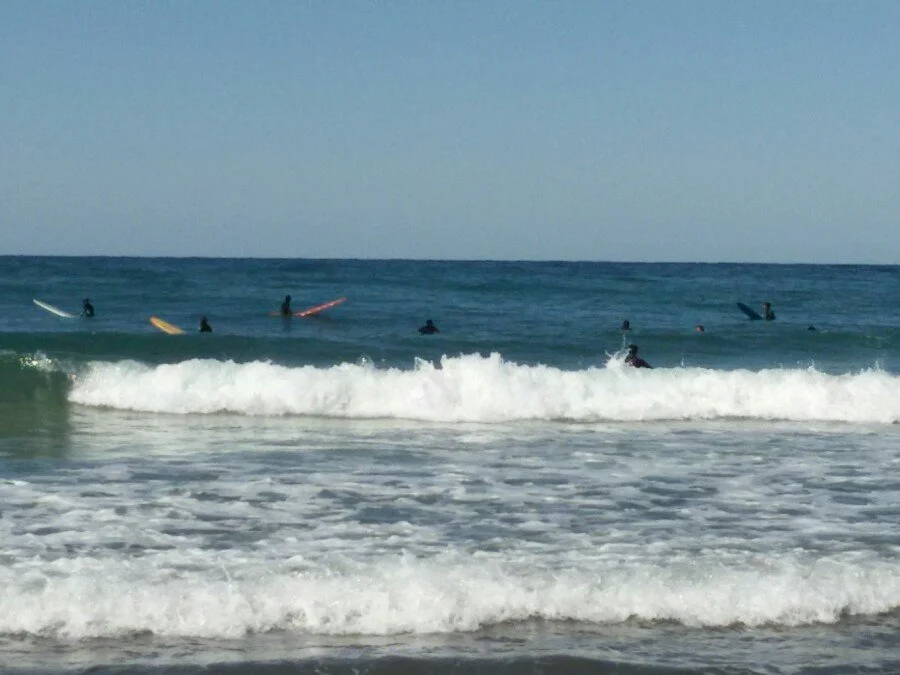 20180217_131413.jpg?type=w1200