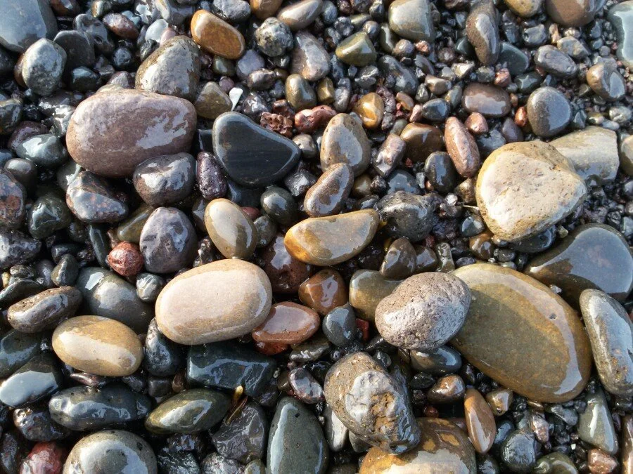 20180216_172905.jpg?type=w1200