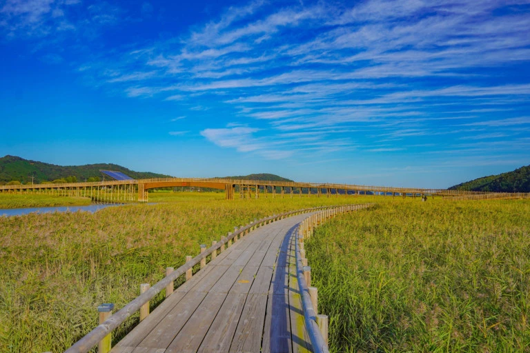 다운로드 (11).jfif