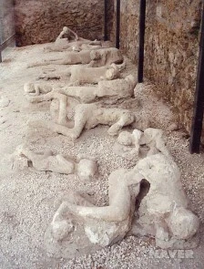 s_gn22_27_i1.jpg?type=w224_fst_n&wm=Y