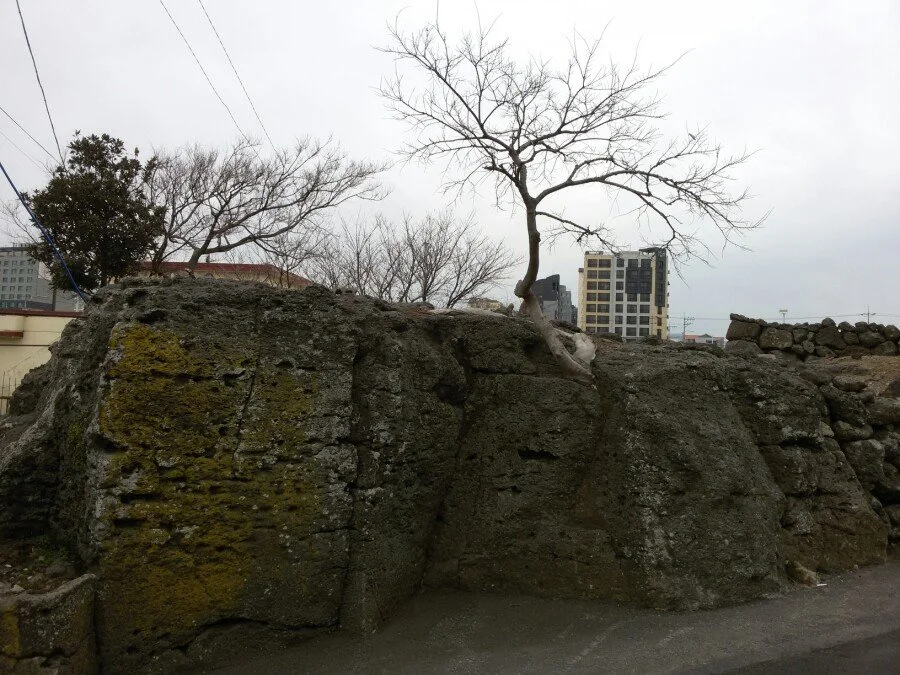 20180218_161428.jpg?type=w1200