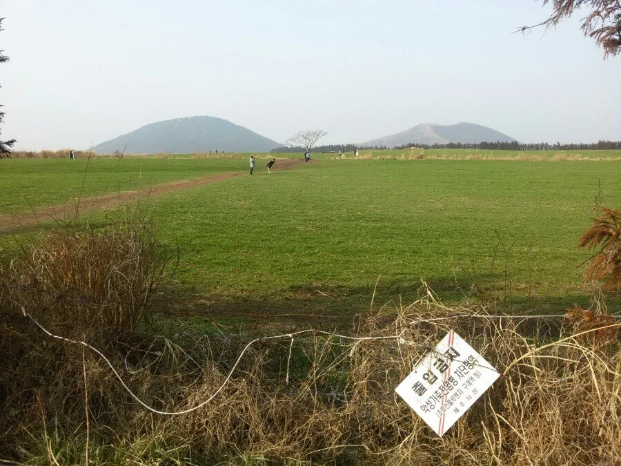 20180311_164043.jpg?type=w1200