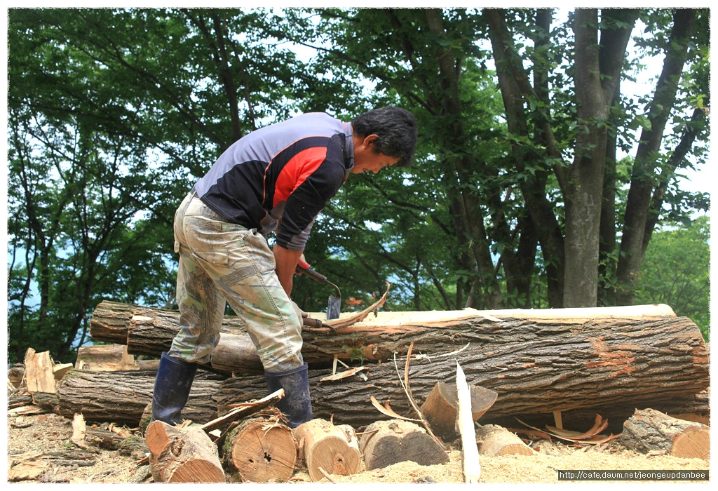 0307A44B50ACD0E30FB9D9