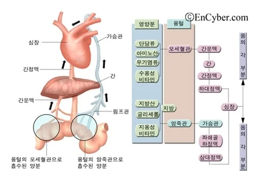 728049_0.gif?type=m1500&wm=N