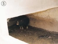 fg2_17_i13.jpg?type=w197_fst&wm=Y