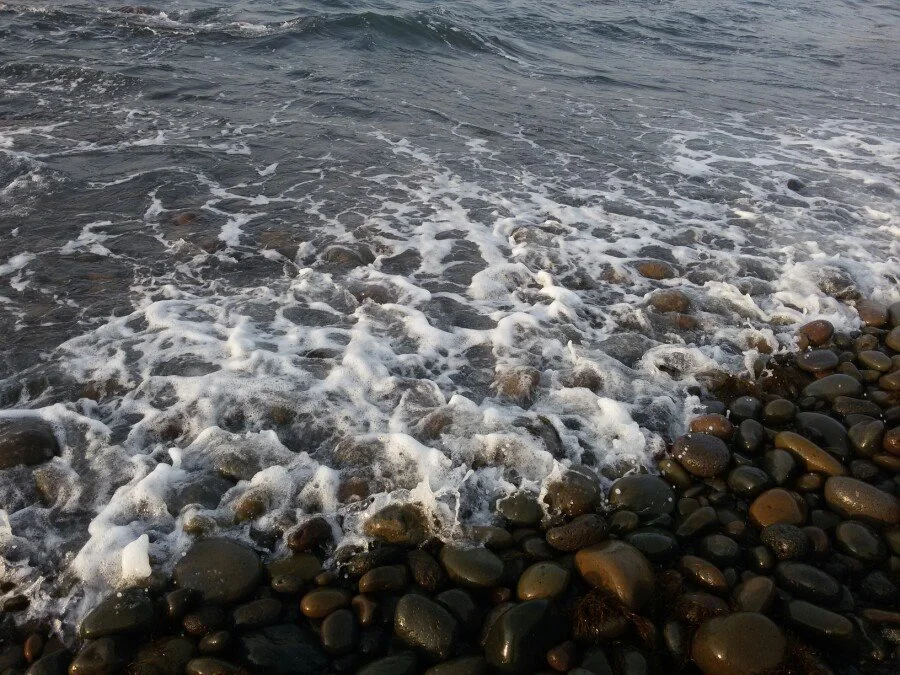 20180216_172354.jpg?type=w1200