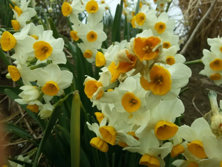 20180222_123223.jpg?type=w1200