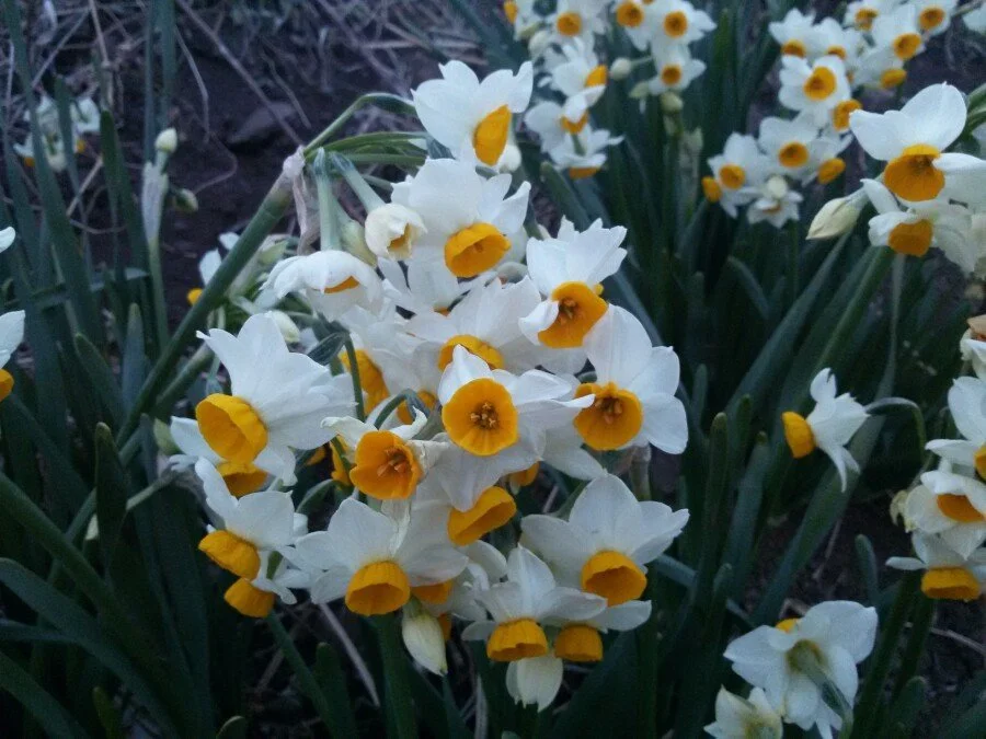 20180220_182507.jpg?type=w1200