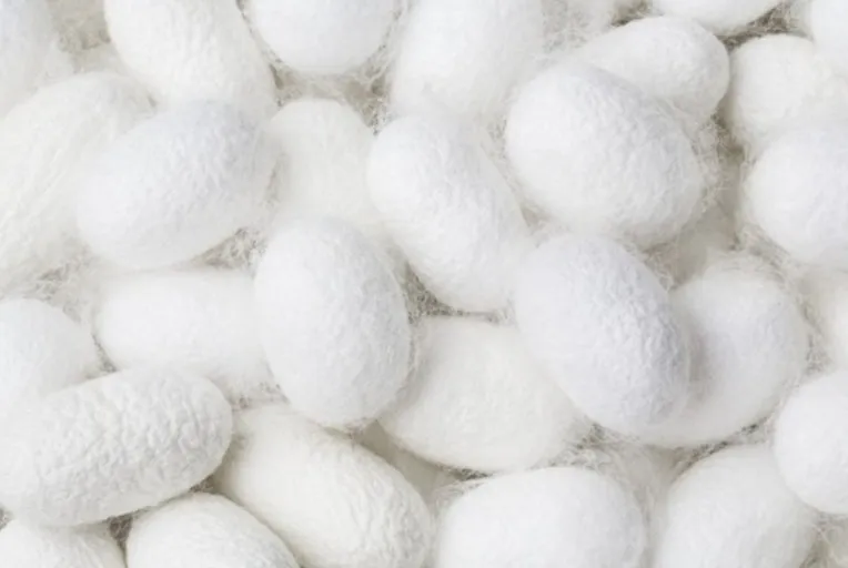 다운로드 (16).jfif