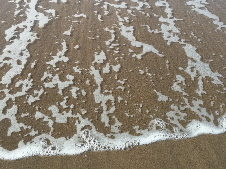 20180217_150417.jpg?type=w1200