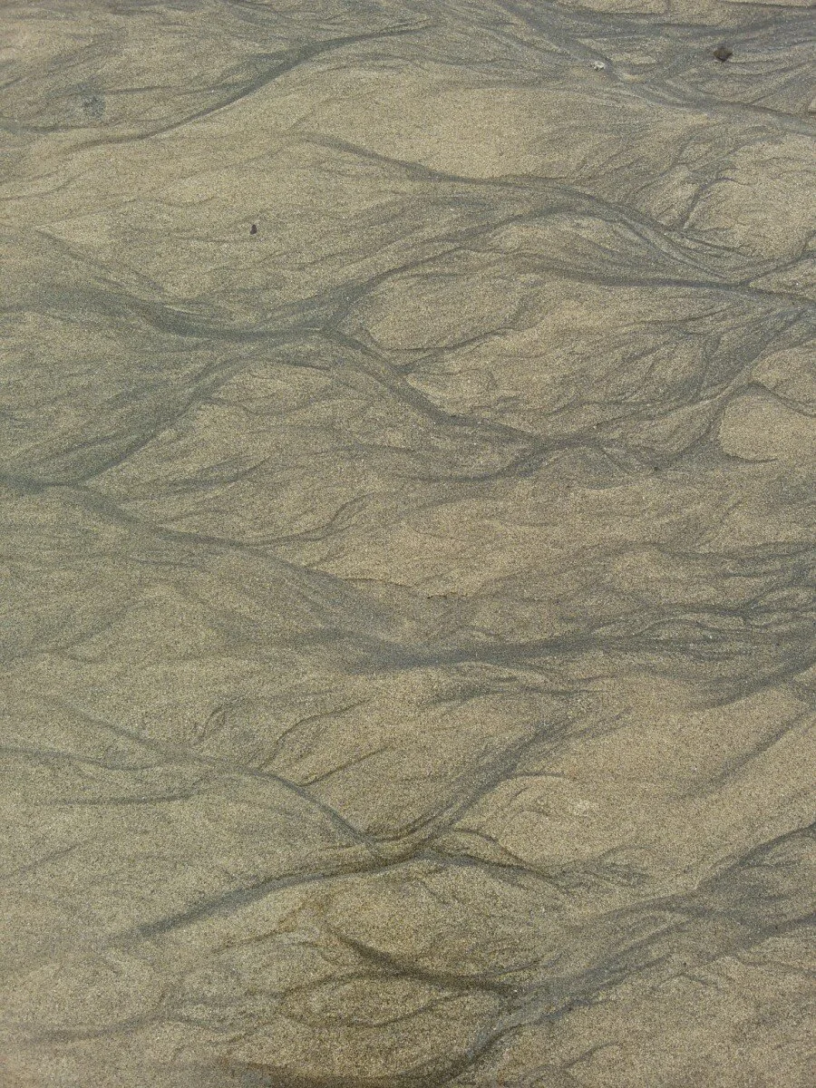 20180528_165242.jpg?type=w1200