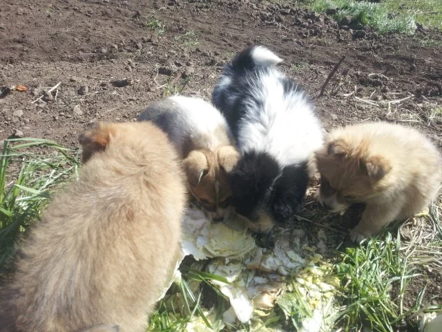 000-6.jpg?type=w1200