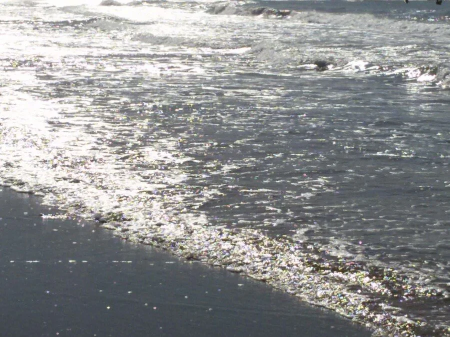 20180217_145936.jpg?type=w1200