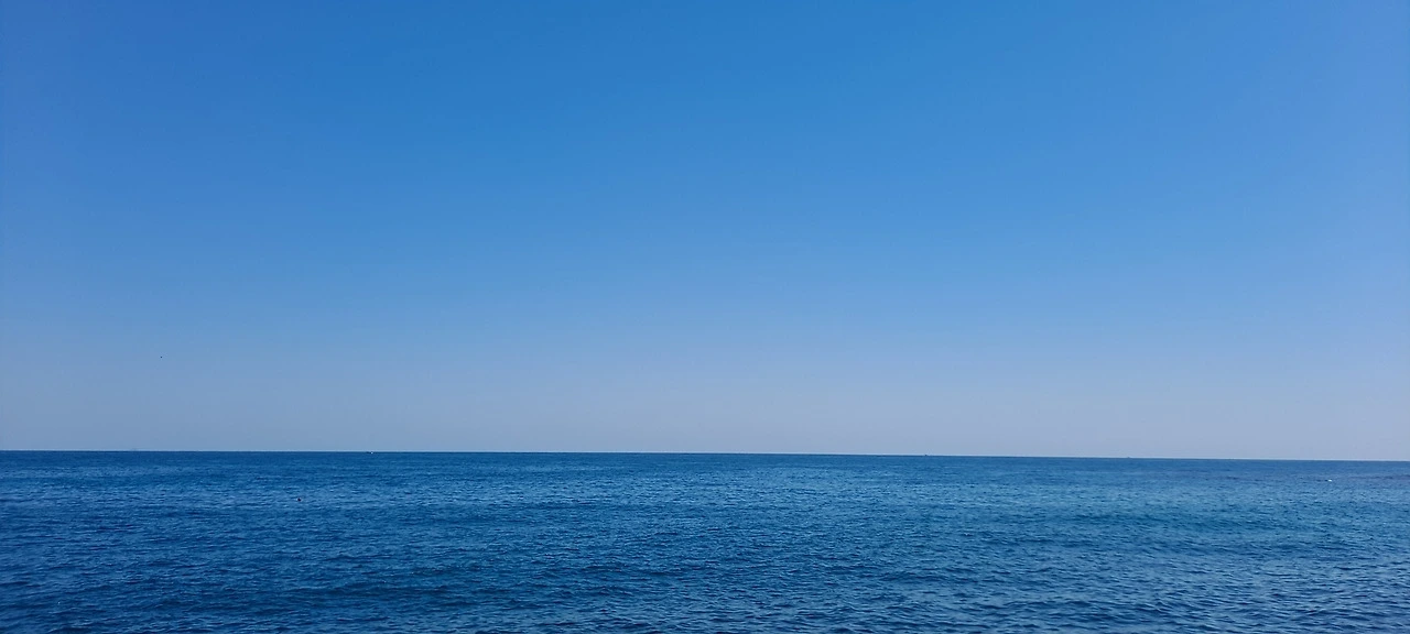 다운로드 (14).jfif