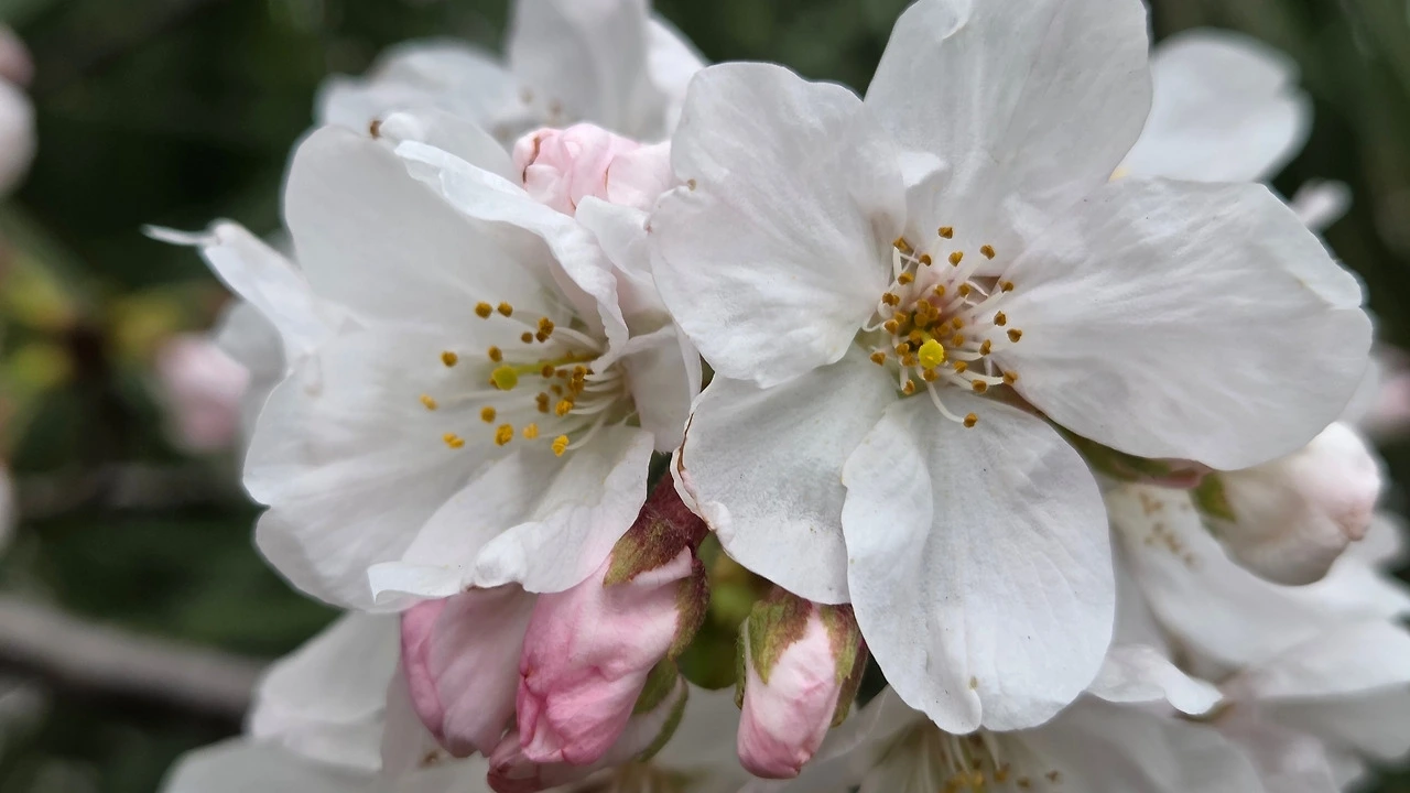 다운로드 (25).jfif