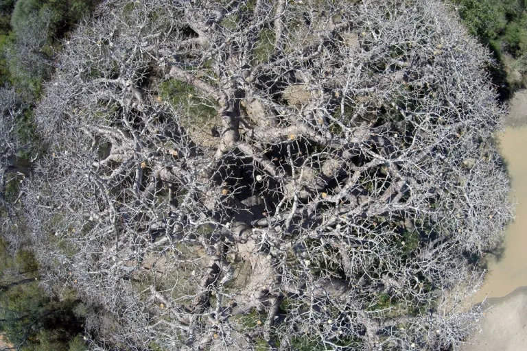 다운로드 (5).jfif