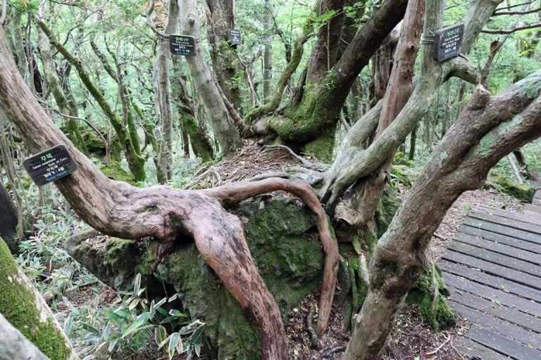 다운로드 (1).jfif