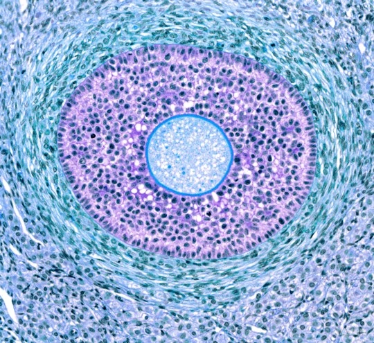 %25EB%2582%259C%25.jpg?type=w540_fst_n