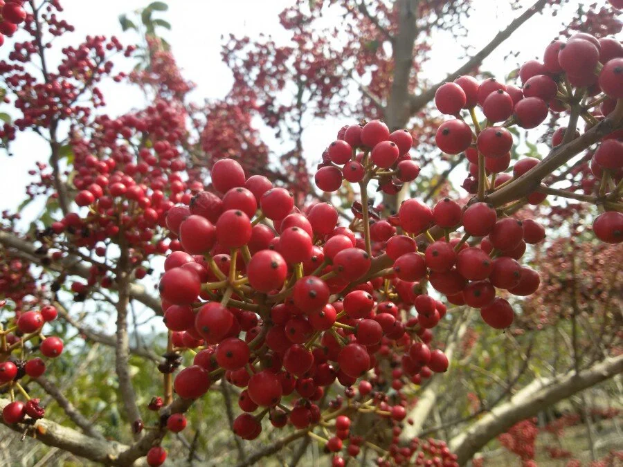 20180223_131101.jpg?type=w1200