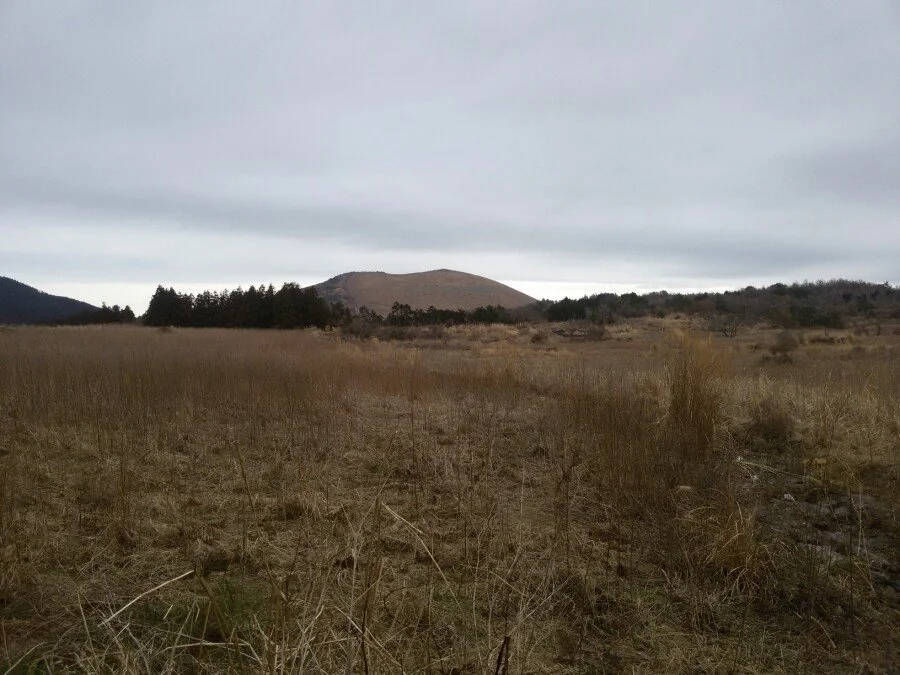 20180303_091118.jpg?type=w1200