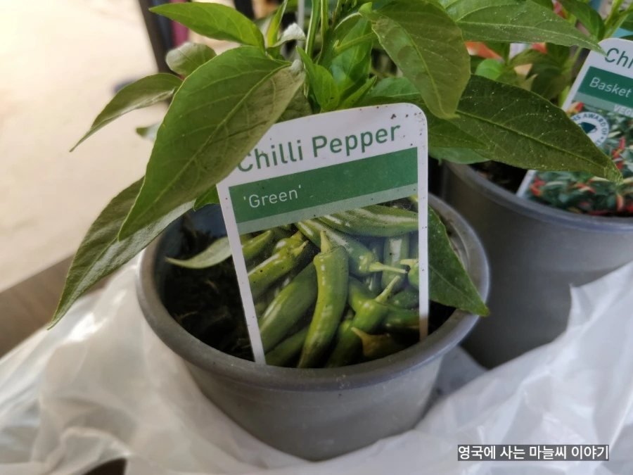 1686154968202.jpg?type=w1