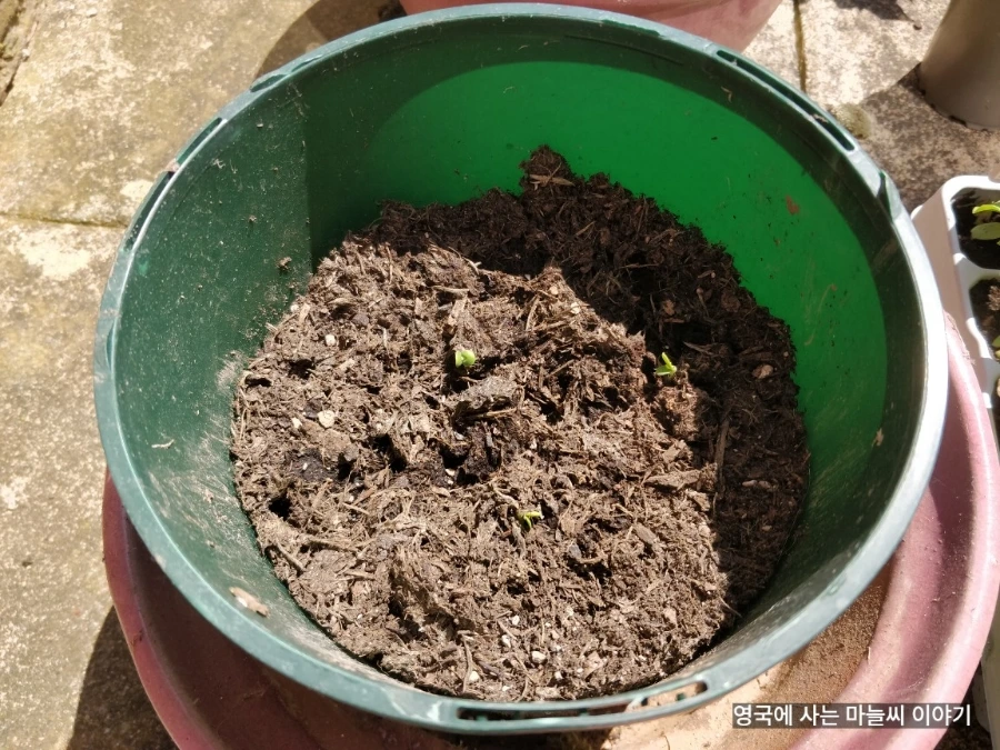 1686154950176.jpg?type=w1