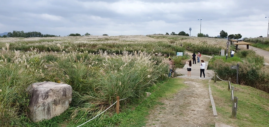 AD_4nXfl60kWzSulG68uYf4u288ie86rLh8sB4ywHWdodss3WZGQihAQIOmEscRTA8_AL16x8Tdns67l-2tR7eozQ2xMtUHa1zpTEptkYIjWCDQKGDdZftdJADg4ISDetxyTHqso811Syw?key=zjZmOO5Yj0Uq0s-Fq2pK0VoH