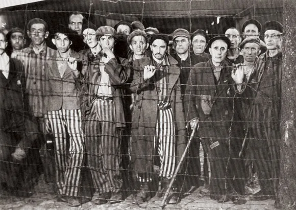 %ED%99%80%EB%A1%9C%EC%BD%94%EC%8A%A4%ED%8A%B8.jpeg?type=w1