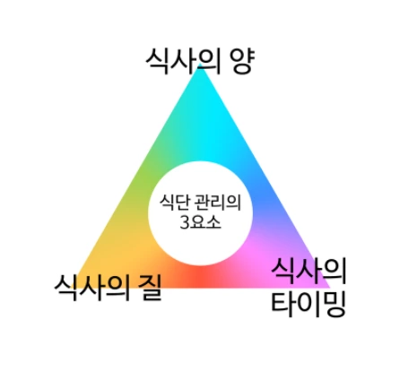 양 질 타이밍 식단관리 전 꼭 알아야 할 3가지.PNG