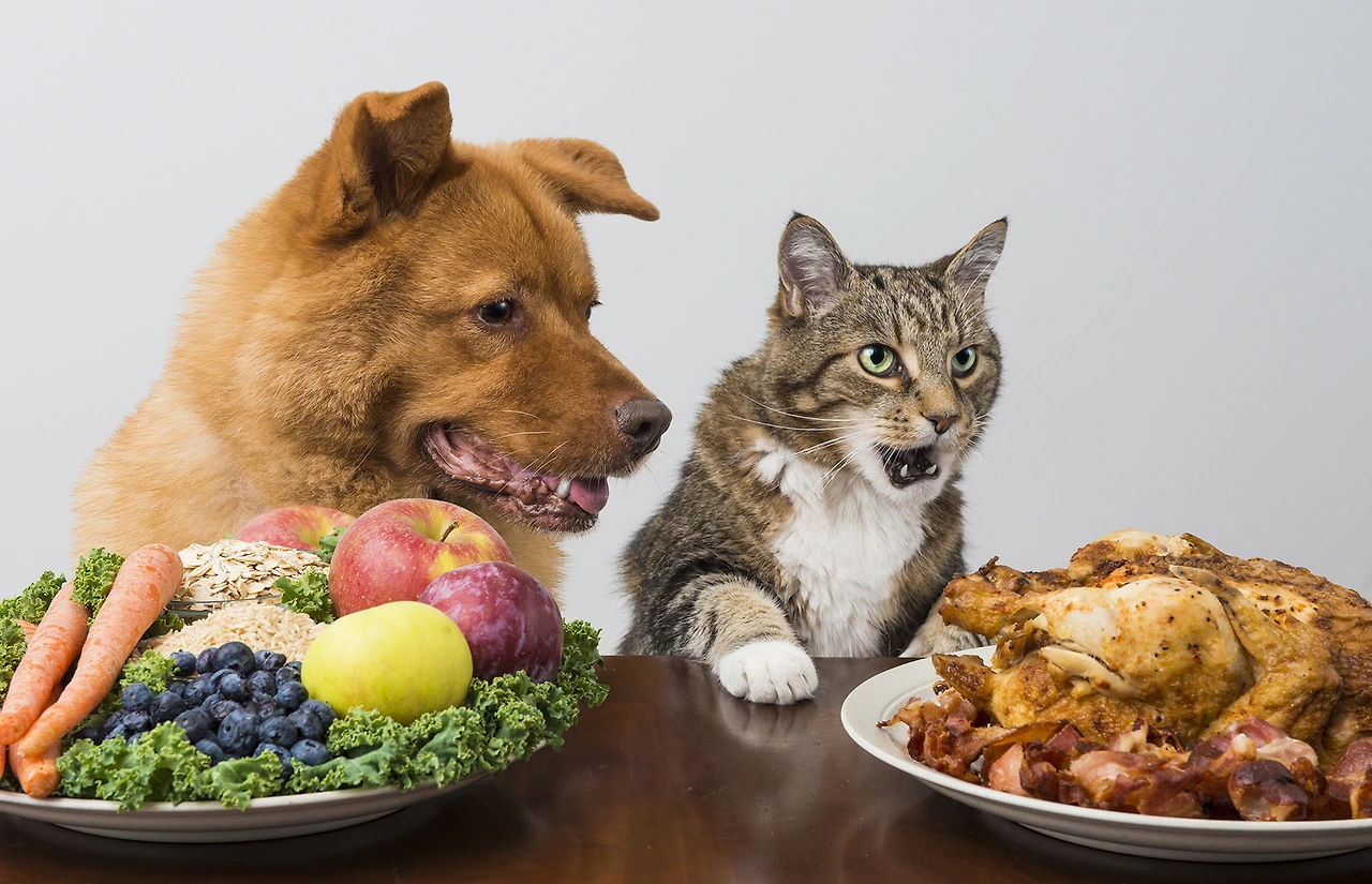 BBVGA0I.img?h=0&amp;w=720&amp;m=6&amp;q=60&amp;u=t&amp;o=f&amp;l=f